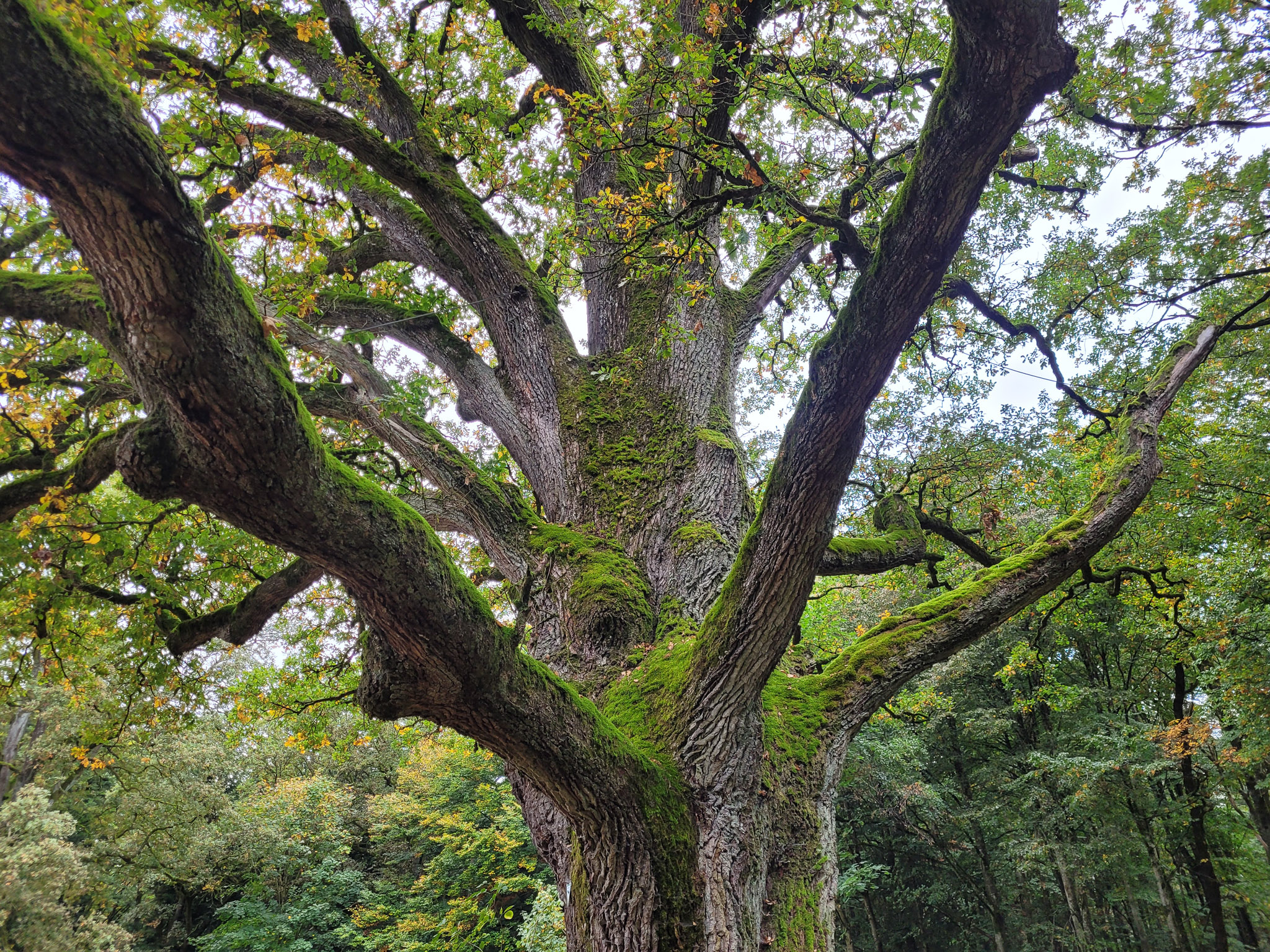 20231015105025 20231015 105025